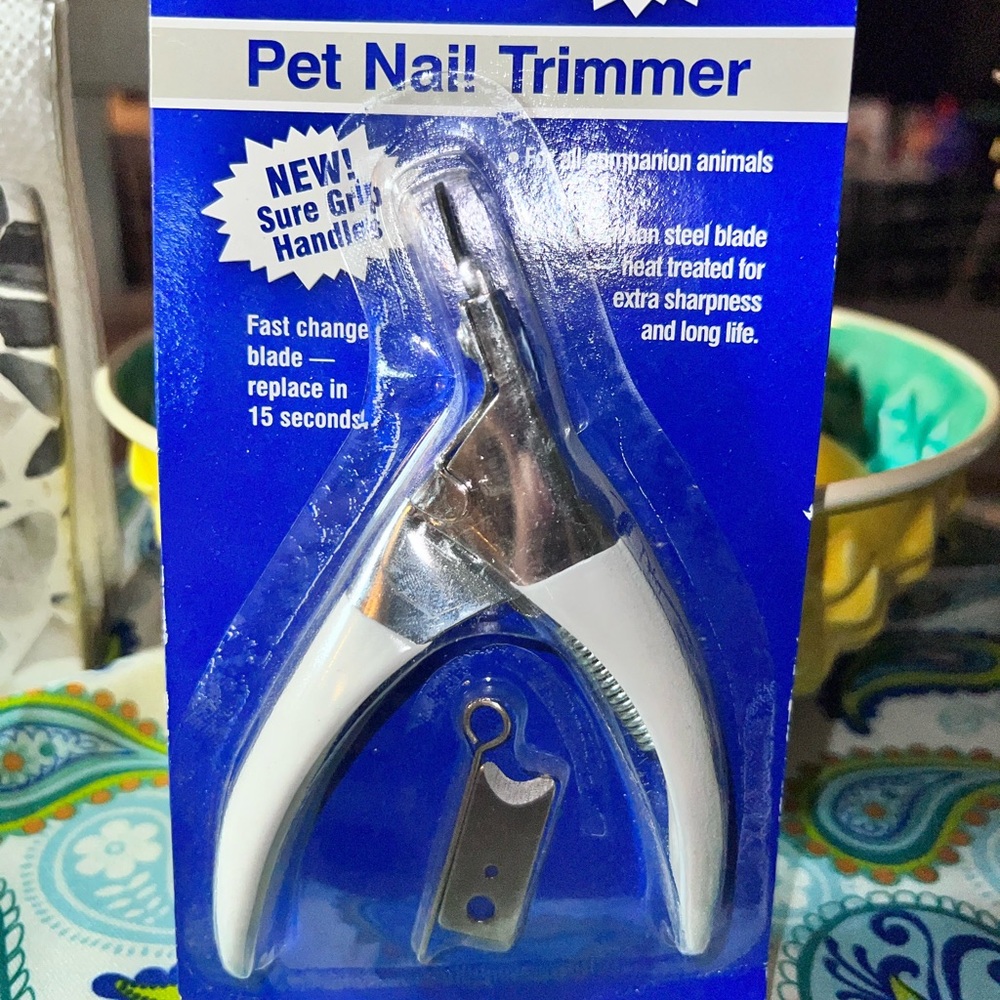 White Small Pets Grooming